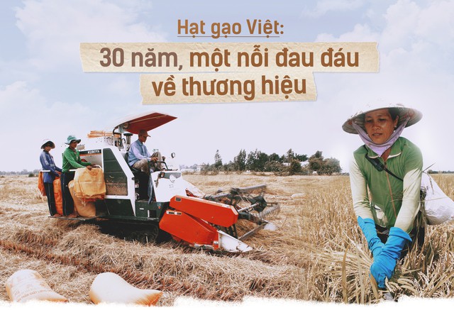 Hạt gạo Việt: 30 năm, một nỗi đau đáu về thương hiệu