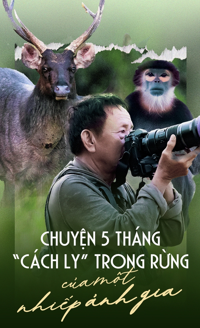 Chuyện 5 tháng 'cách ly' trong rừng của một nhiếp ảnh gia