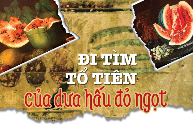 Đi tìm tổ tiên của dưa hấu đỏ ngọt