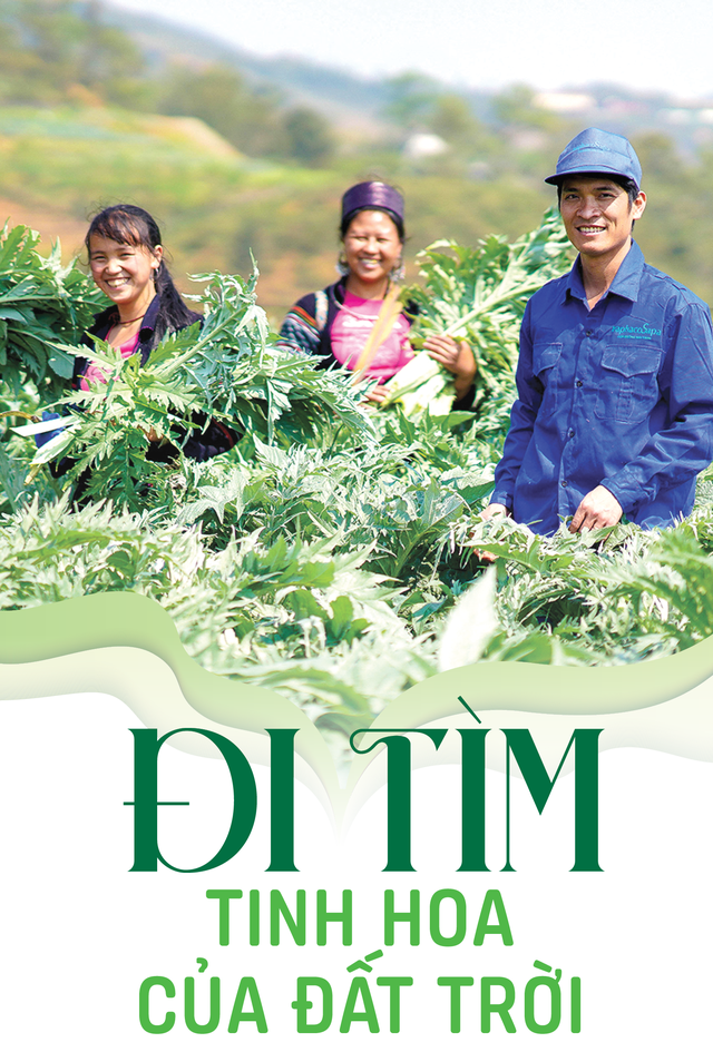 Đi tìm tinh hoa của đất trời