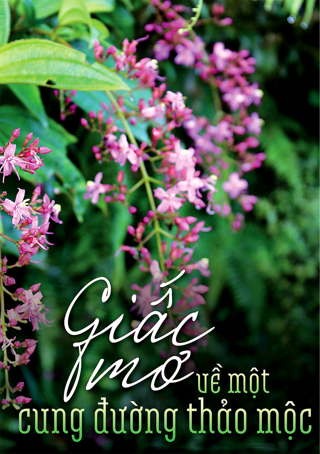 Cung đường thảo mộc