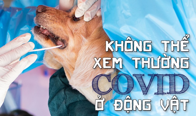 Không thể xem thường COVID-19 ở động vật