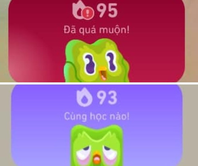 Cười ngất với ảnh chế linh vật Duolingo- Ảnh 10.