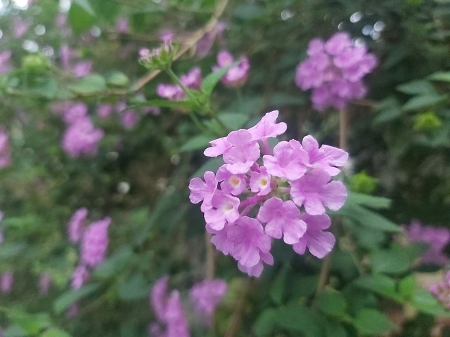 Thứ Ba của bạn (28-11)‏- Ảnh 1.