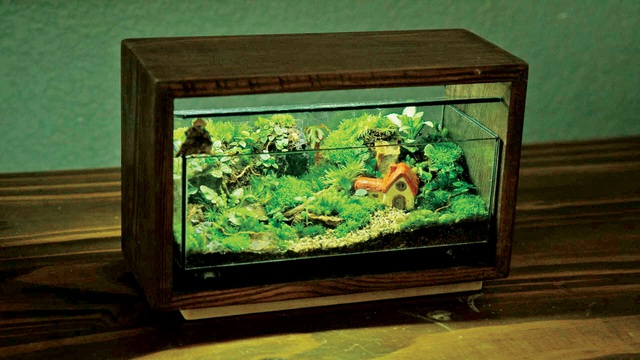 Khu vườn tí hon trong hộp kính với thú chơi Terrarium- Ảnh 5.