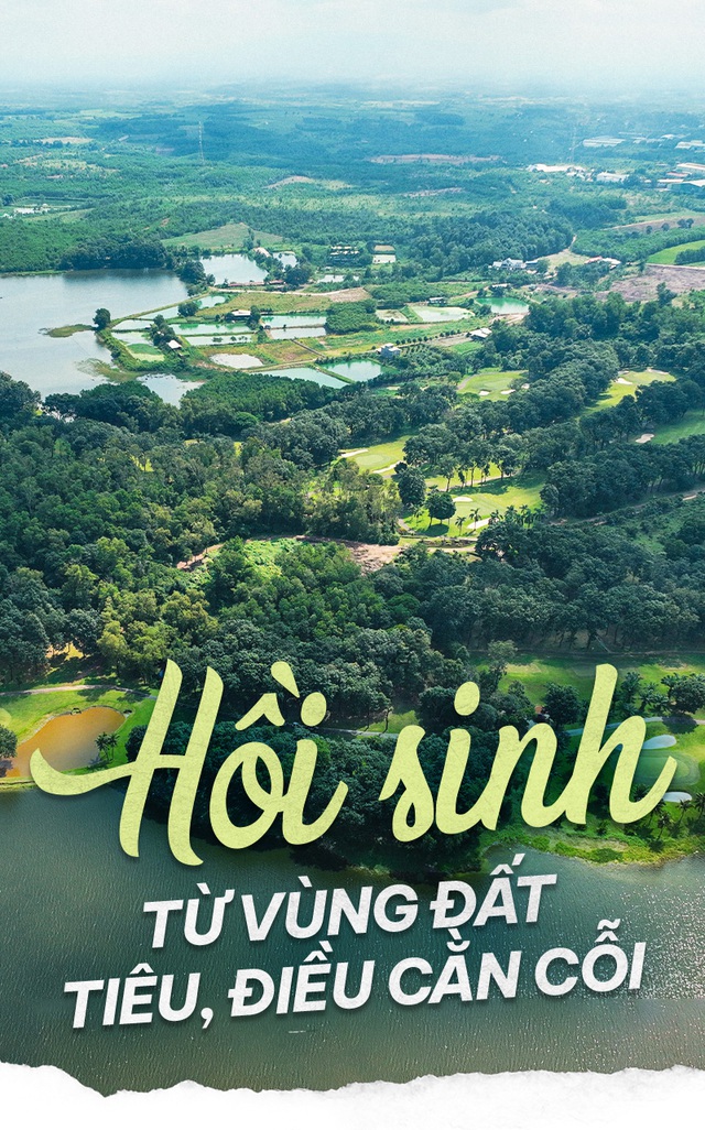 Hồi sinh từ vùng đất tiêu, điều cằn cỗi