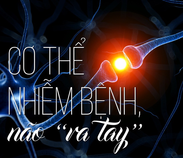 Cơ thể nhiễm bệnh, não 'ra tay'