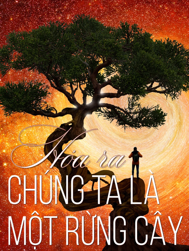 Hóa ra chúng ta là một rừng cây
