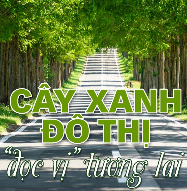 Cây xanh đô thị - “đọc vị” tương lai