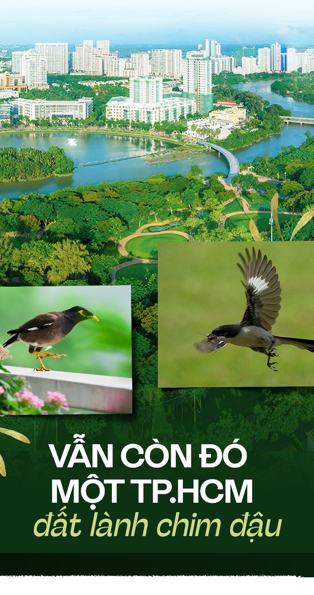 Vẫn còn đó một TP.HCM đất lành chim đậu