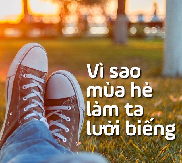 Vì sao mùa hè làm ta lười biếng