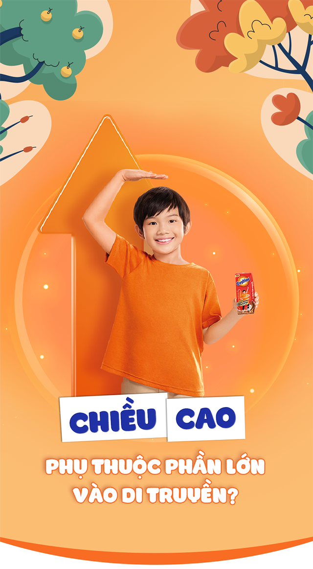 Chiều cao phụ thuộc phần lớn vào di truyền?