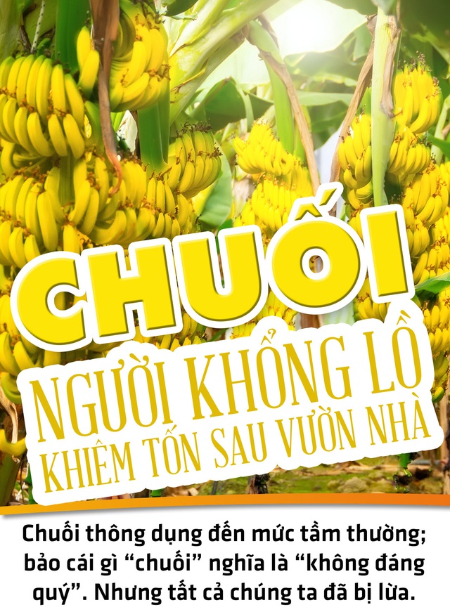 Chuối - Người khổng lồ khiêm tốn sau vườn nhà