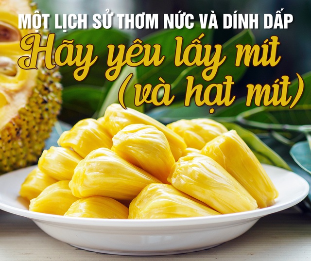 Một lịch sử thơm nức: Hãy yêu lấy mít và hạt mít