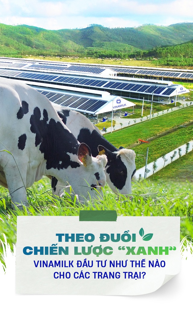 Theo đuổi chiến lược 'xanh', Vinamilk đầu tư như thế nào cho các trang trại?