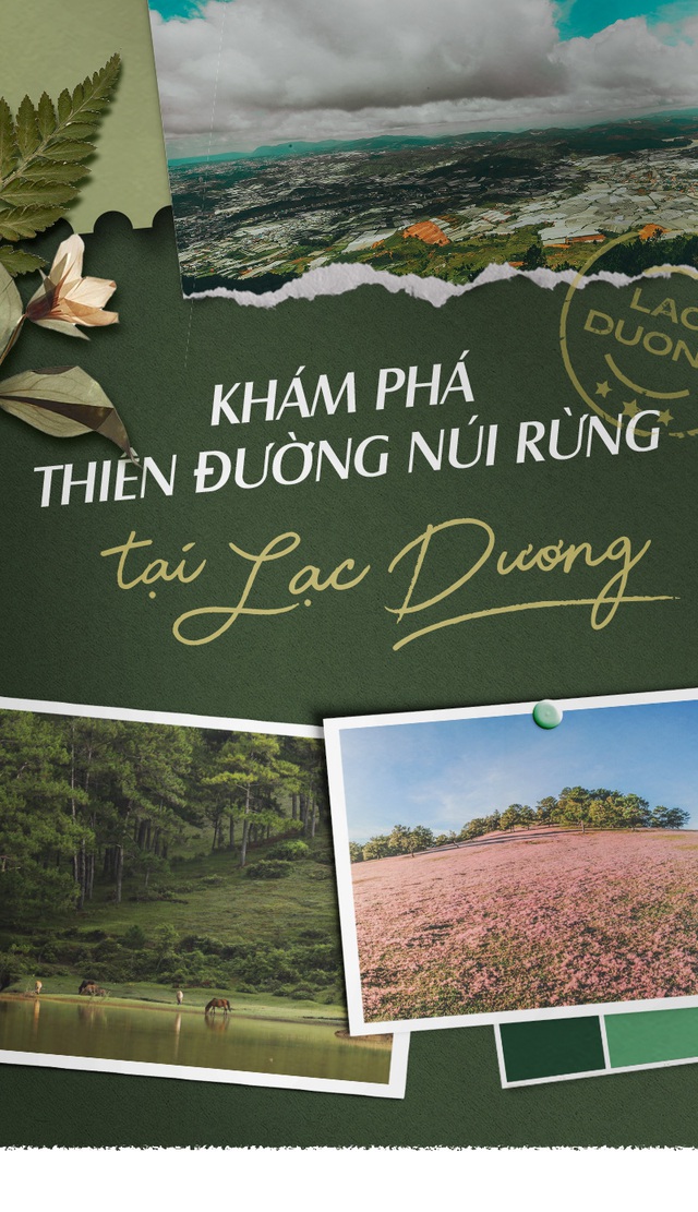 Khám phá thiên đường núi rừng tại Lạc Dương