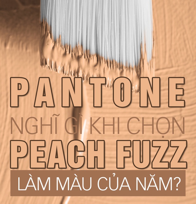 Pantone nghĩ gì khi chọn Peach Fuzz là màu của năm?