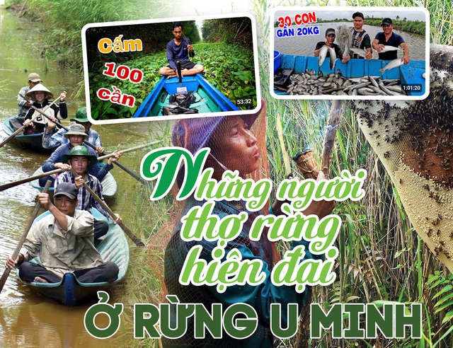 Những người thợ rừng hiện đại ở rừng U Minh