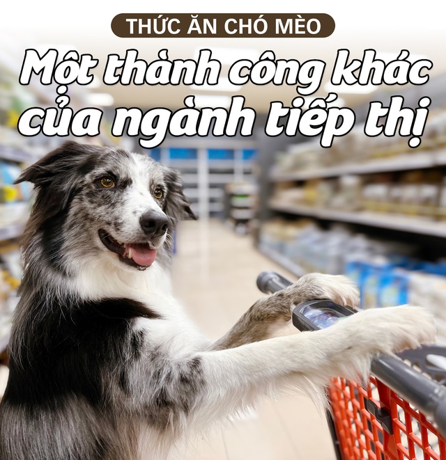 Thức ăn chó mèo: Một thành công khác của ngành tiếp thị