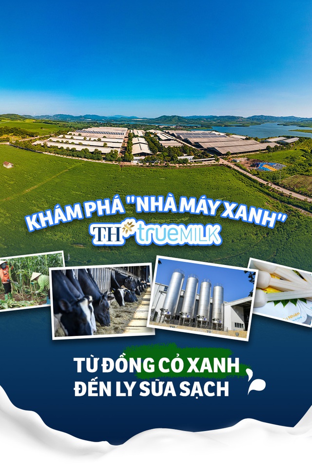 Khám phá 'nhà máy xanh' TH true MILK: Từ đồng cỏ xanh đến ly sữa sạch