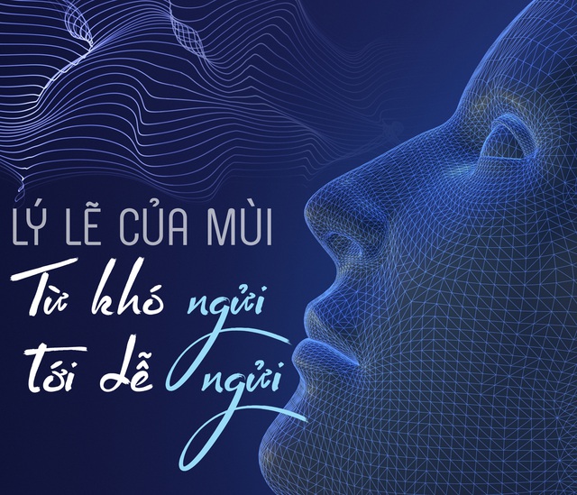 Lý lẽ của mùi: Từ khó ngửi tới dễ ngửi