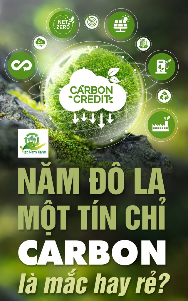 5 đô la một tín chỉ carbon là mắc hay rẻ?