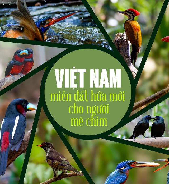 Việt Nam là miền đất hứa mới cho người mê chim