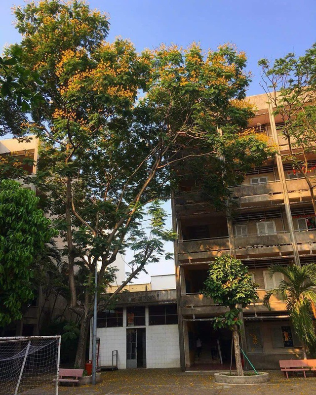 Hướng dẫn cách đăng ký ký túc xá Trường đại học Sư phạm TP.HCM cho tân sinh viên - Ảnh 2.