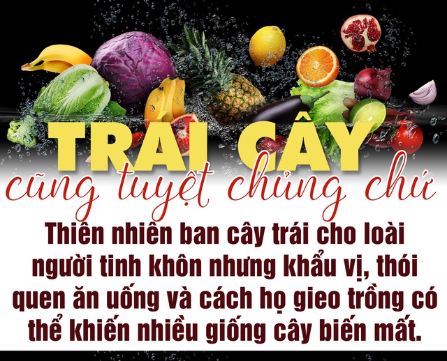 Trái cây cũng tuyệt chủng chứ