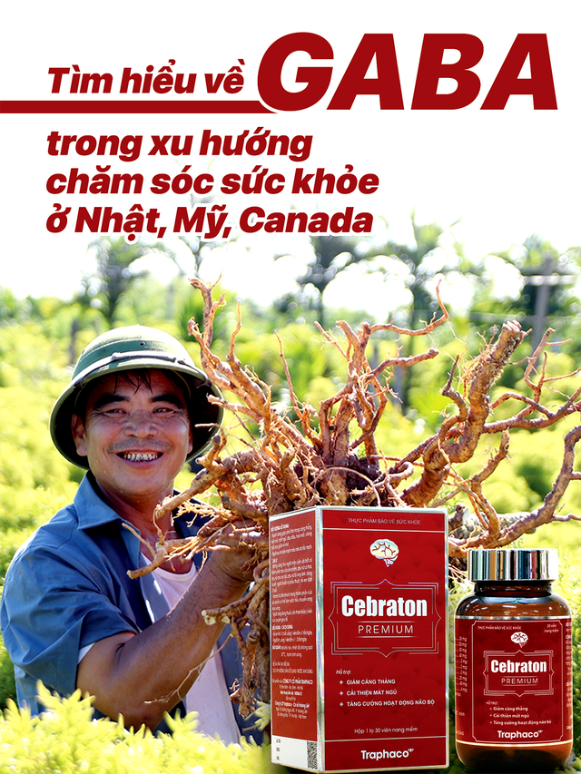 Tìm hiểu về GABA trong xu hướng chăm sóc sức khoẻ ở Nhật, Mỹ, Canada