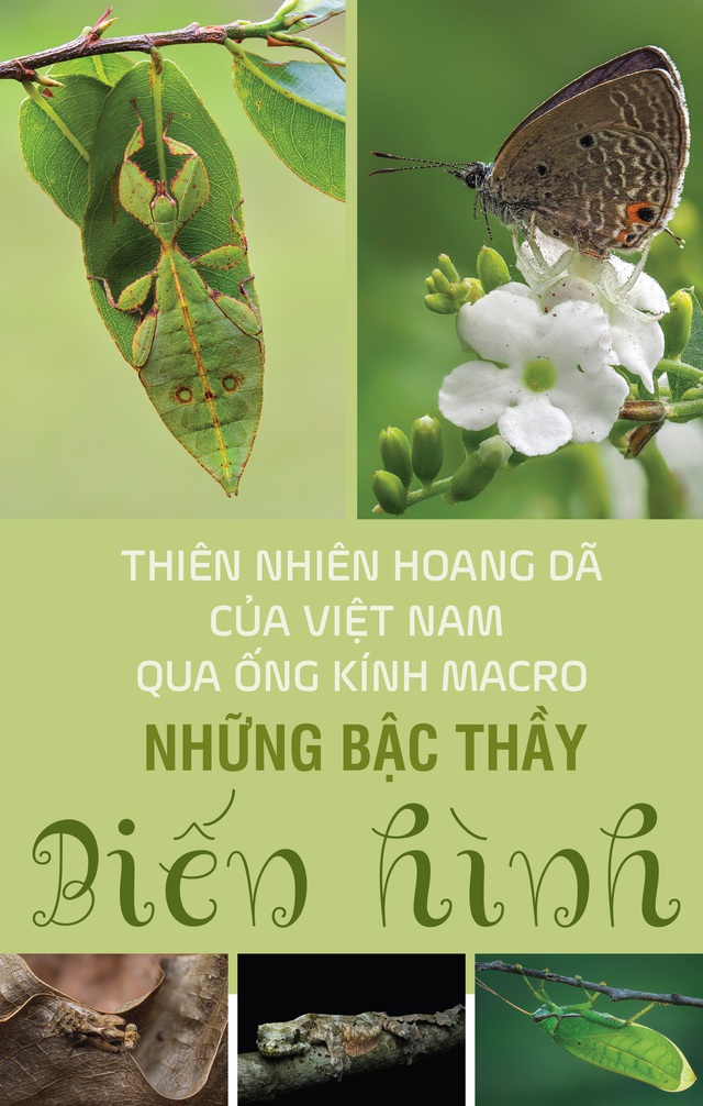 Thiên nhiên hoang dã Việt Nam qua ống kính macro: Những bậc thầy biến hình