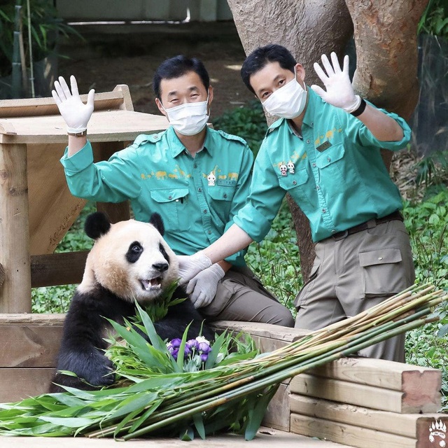 Có gì trong bộ phim về gấu trúc Fu Bao gây sốt phòng vé Hàn?- Ảnh 4.