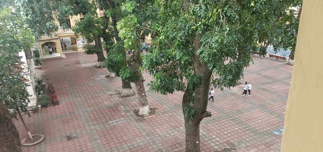 Thầy trò tại Hà Nội dọn dẹp trường học sau bão số 3- Ảnh 4.