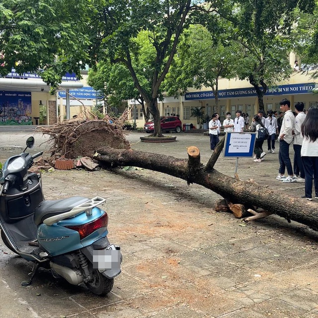 Thầy trò tại Hà Nội dọn dẹp trường học sau bão số 3- Ảnh 3.