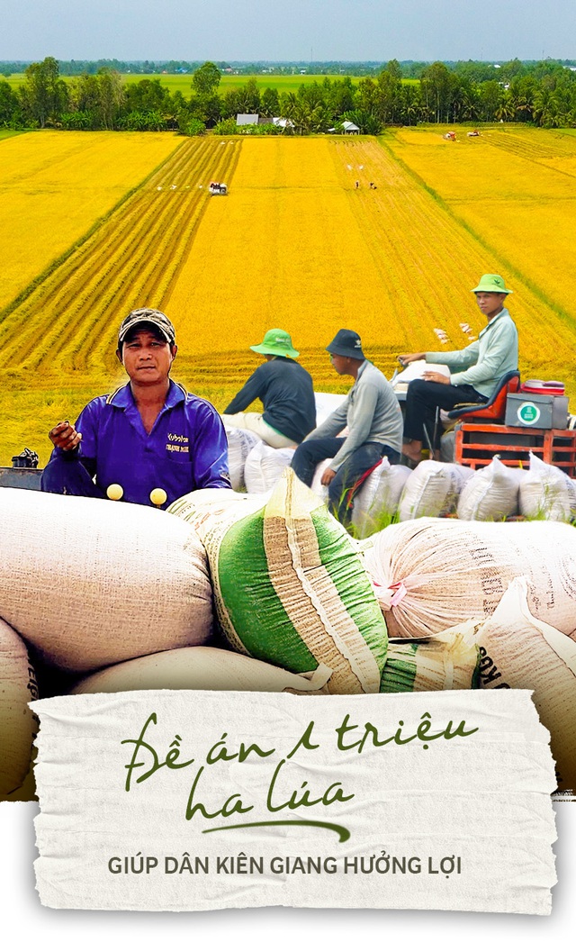Đề án 1 triệu ha lúa giúp dân Kiên Giang hưởng lợi