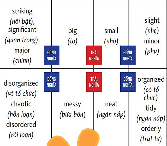 Xử lý câu hỏi qua từ khóa trong tiếng Anh- Ảnh 4.