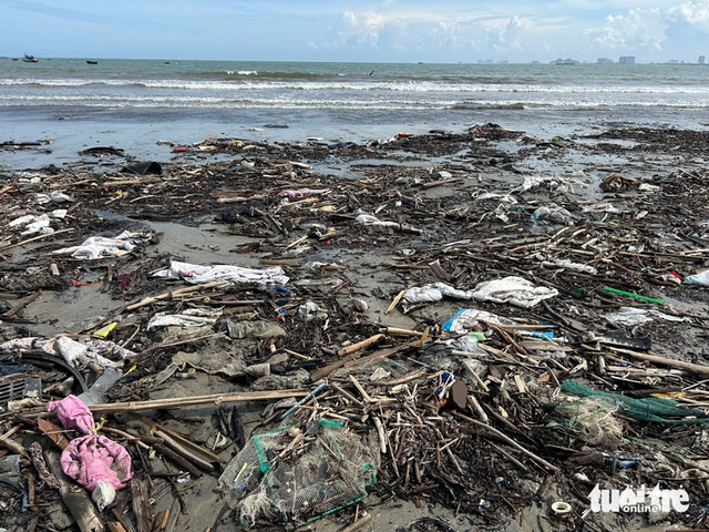 Da Nang beaches covered in trash after storm Bualoi - Ảnh 1.