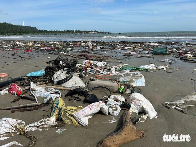 Da Nang beaches covered in trash after storm Bualoi - Ảnh 6.
