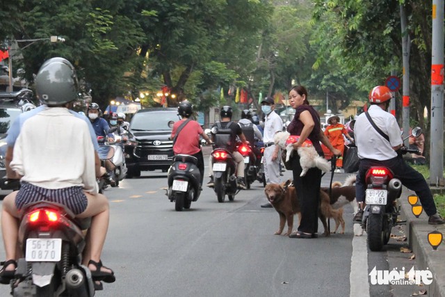 Dogs and the community: Vietnam should uphold responsible ownership through training, vaccines, and neutering- Ảnh 4.