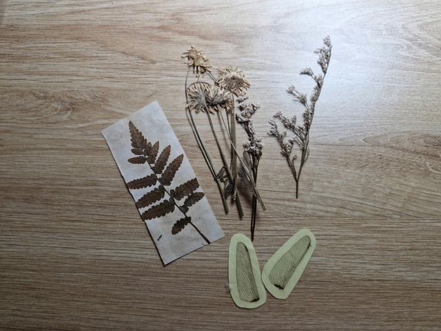 Cô bạn 2k7 biến hoa khô, báo cũ và xác côn trùng thành nhật ký tranh xé dán  - Ảnh 3.