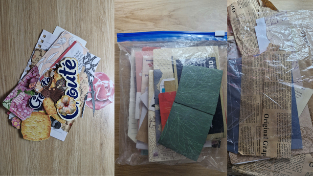 Cô bạn 2k7 biến hoa khô, báo cũ và xác côn trùng thành nhật ký tranh xé dán  - Ảnh 4.