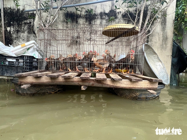 Historic floods wipe out Hanoi family's property in just 10 minutes- Ảnh 5. Historic floods wipe out Hanoi family's property in just 10 minutes- Ảnh 5.
