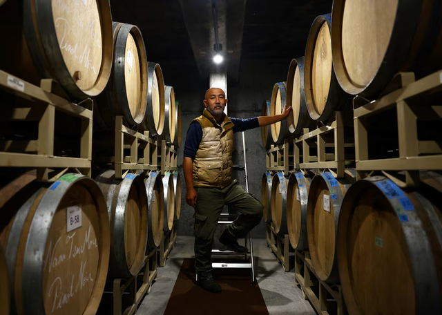 A Japanese Pinot Noir town blessed by climate change now worries about the weather- Ảnh 5. A Japanese Pinot Noir town blessed by climate change now worries about the weather- Ảnh 5.