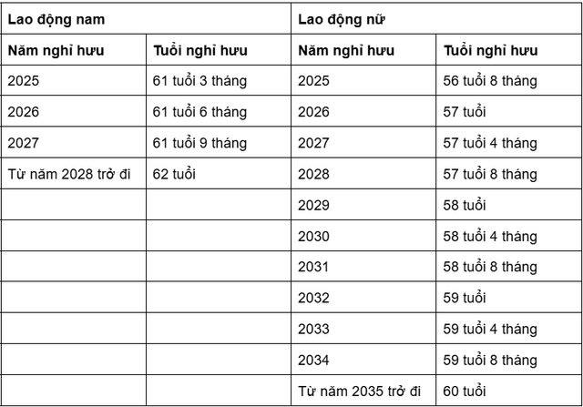 undefined - Ảnh 1.