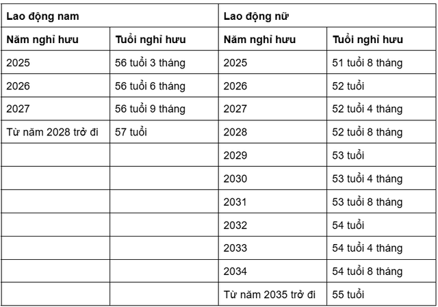 undefined - Ảnh 2.