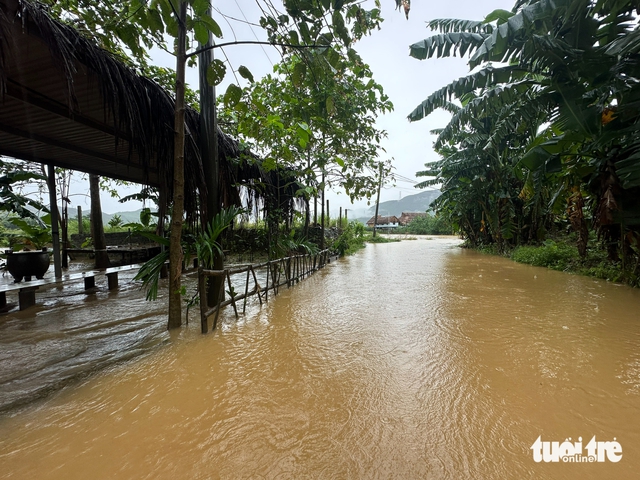 Heavy rains cause flooding, landslides in Da Nang’s mountainous areas - Ảnh 3.