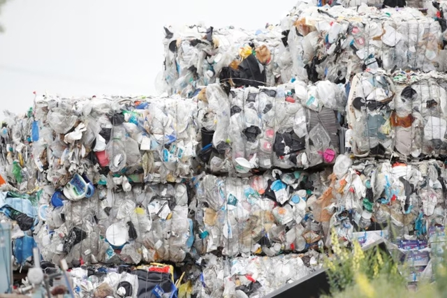 California takes action against plastic bag makers over recycling claims - Ảnh 2.