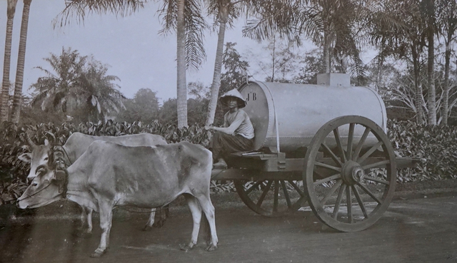 Glimpse into Ho Chi Minh City over a century ago through lens of Hungarian naval doctor- Ảnh 10.