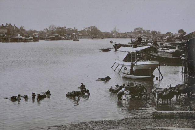Glimpse into Ho Chi Minh City over a century ago through lens of Hungarian naval doctor- Ảnh 6.