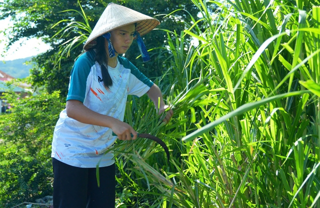Gương mặt học bổng Vì tương lai Việt Nam: Lịch trình không ngơi nghỉ của cô học trò Gia Lai - Ảnh 1.